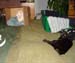 08-05-06katie-bed41j