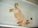 11-16-05johnny-bath28
