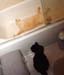 11-16-05johnny-katie-bath08