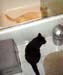 11-16-05johnny-katie-bath09