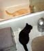 11-16-05johnny-katie-bath10