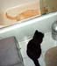 11-16-05johnny-katie-bath11