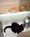 11-16-05johnny-katie-bath16