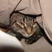 20080705zach53