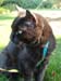 20080927katie3253