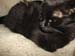 20081211katie3539