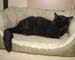 20081211katie3542