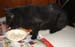 20081211katie3565