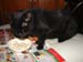 20081211katie3566