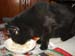20081211katie3567
