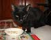 20081211katie3575