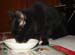 20081211katie3576