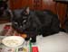 20081211katie3577