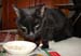20081211katie3578