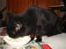 20081211katie3579