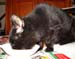 20081211katie3582