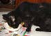 20081211katie3586