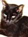 20081211katie3596