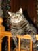 20090111zach3921