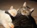 20090118zach-n-johnny3927