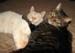 20090118zach-n-johnny3929