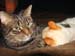 20090118zach-n-johnny3930