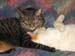 20090222zach-johnny3969