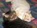 20090222zach-johnny3970
