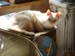 20090403johnny4048