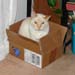 20090417johnny-in-a-box4054