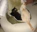 20090622johnny-n-zach4287