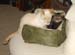 20090622johnny-n-zach4288