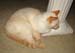20090711johnny4297