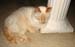 20090711johnny4299