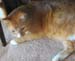 20091127weasley4936
