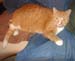 20091129weasley4945