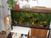 20091204fatty2fish4957