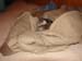 20091225zach-blanket5014