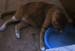 20100218weasley5115