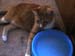 20100218weasley5119