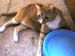 20100218weasley5120