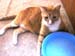 20100218weasley5121