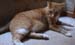 20100218weasley5126