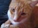 20100218weasley5131