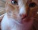 20100218weasley5138