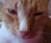 20100218weasley5139