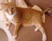 20100218weasley5141
