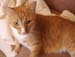 20100218weasley5142