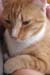 20100218weasley5145