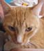 20100218weasley5149